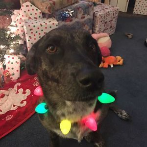 Meet your Posher, Tammy